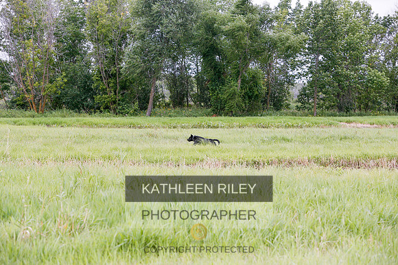 2022-KathleenRileyPhotography-3240