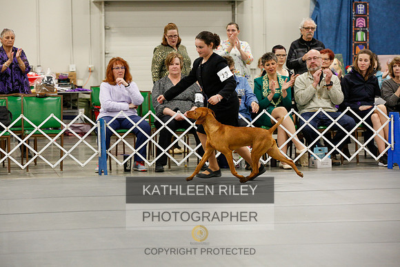 2022-KathleenRileyPhotography-0464