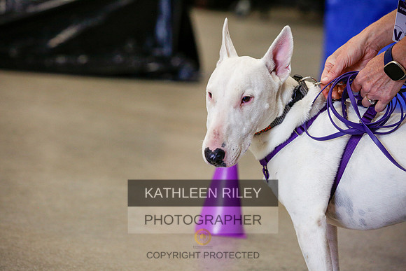 2022-KathleenRileyPhotography-7435