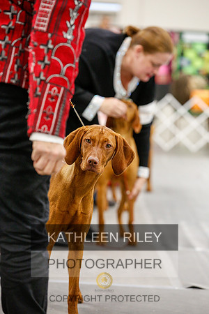 2022-KathleenRileyPhotography-1764