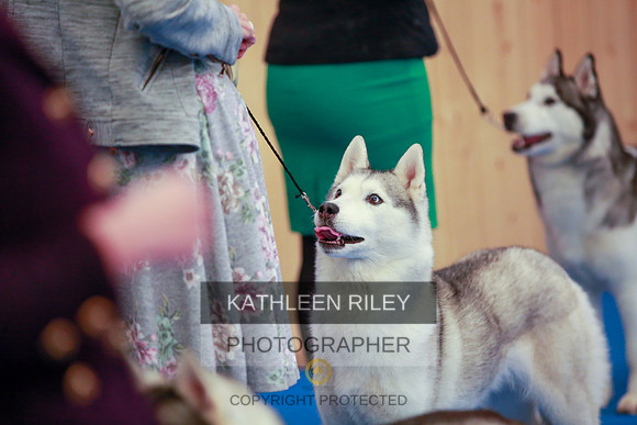 2022-KathleenRileyPhotography-6358