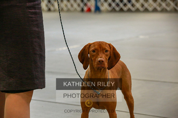 2022-KathleenRileyPhotography-8773