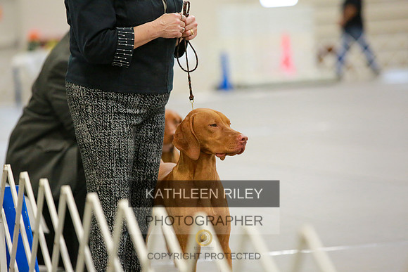 2022-KathleenRileyPhotography-8609