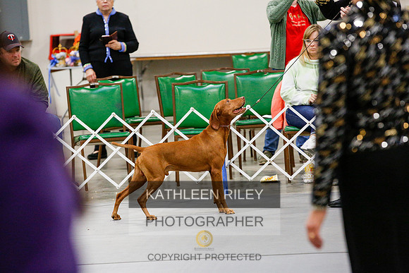 2022-KathleenRileyPhotography-2420
