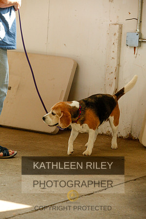 2022-KathleenRileyPhotography-9345