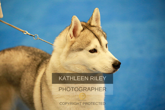 2022-KathleenRileyPhotography-6353