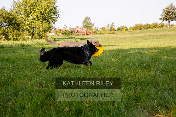 2022-KathleenRileyPhotography-5544