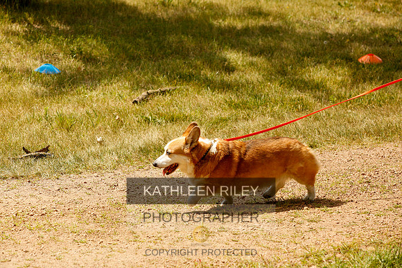 2022-KathleenRileyPhotography-0350