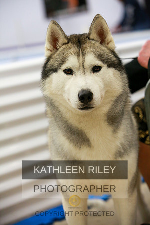 2022-KathleenRileyPhotography-5751