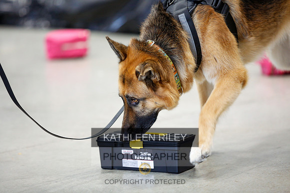 2022-KathleenRileyPhotography-7355