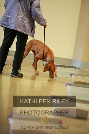 2022-KathleenRileyPhotography-7428