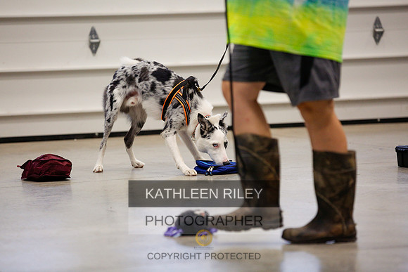 2022-KathleenRileyPhotography-7233