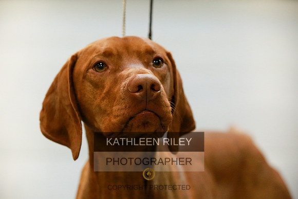 2022-KathleenRileyPhotography-8676