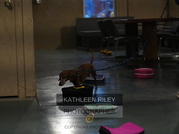 2022-KathleenRileyPhotography164