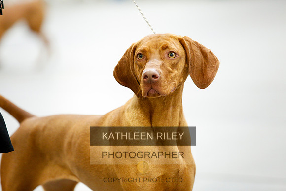 2022-KathleenRileyPhotography-9706