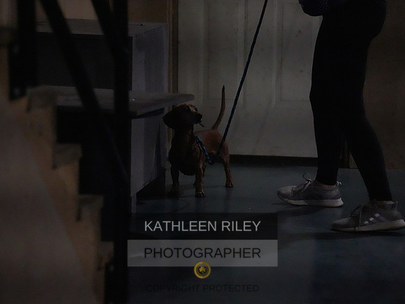 2022-KathleenRileyPhotography155