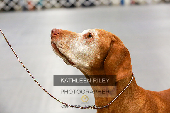 2022-KathleenRileyPhotography-8062