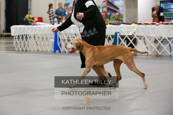 2022-KathleenRileyPhotography-8072