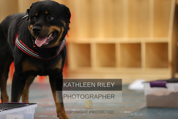 SJLT9083