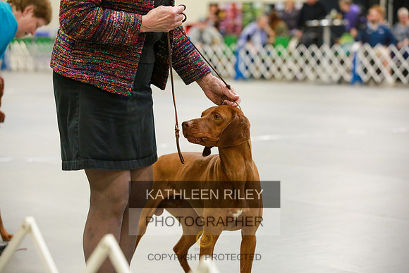 2022-KathleenRileyPhotography-8600