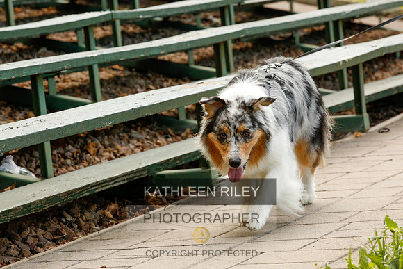 2022-KathleenRileyPhotography-0023