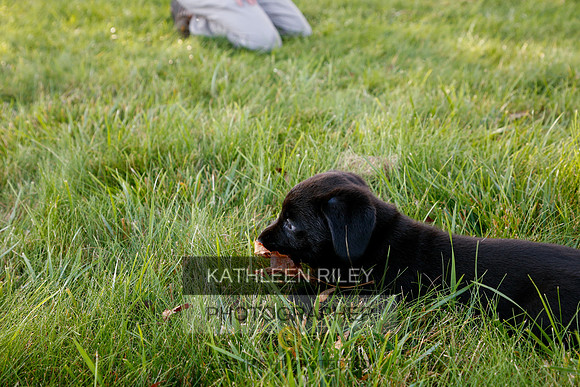 2022-KathleenRileyPhotography-5412