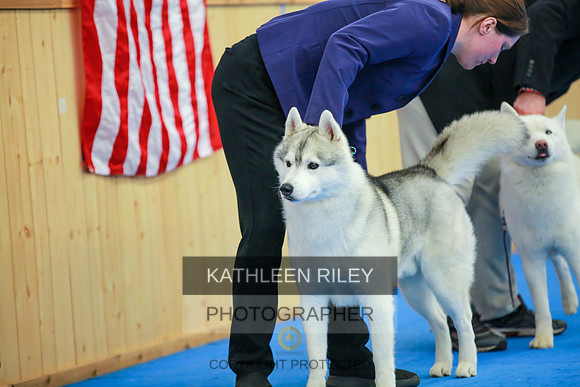 2022-KathleenRileyPhotography-6099