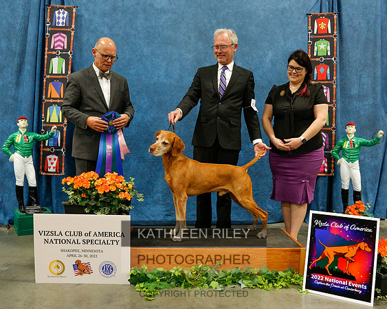 2022-KathleenRileyPhotography-6453