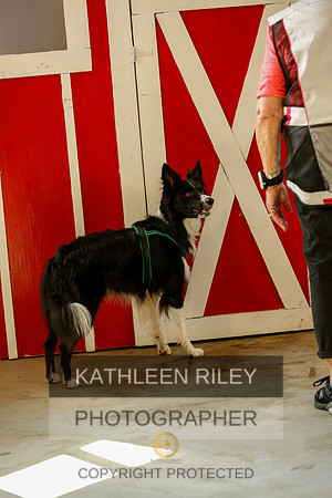 2022-KathleenRileyPhotography-9407