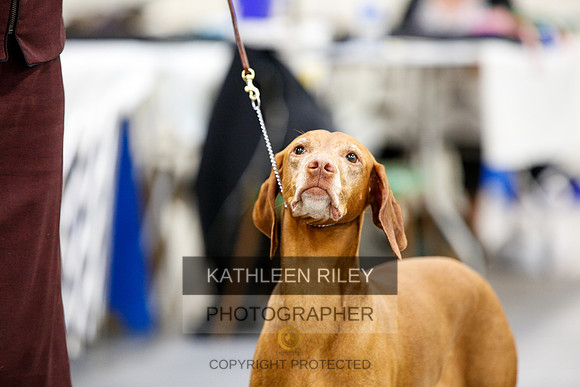 2022-KathleenRileyPhotography-2351