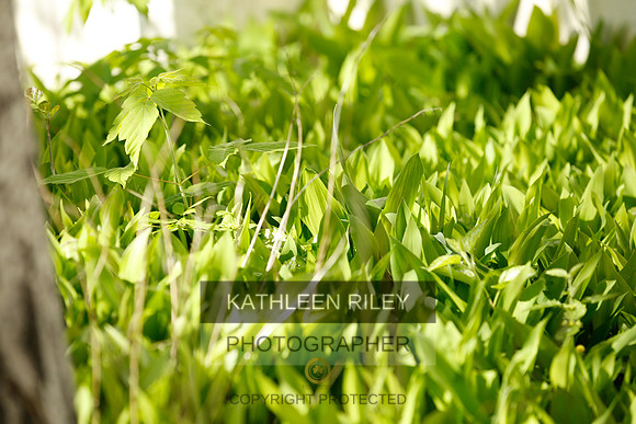 2022-KathleenRileyPhotography-2644