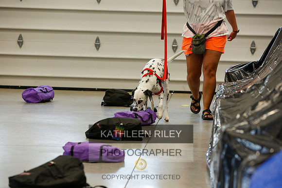 2022-KathleenRileyPhotography-4865