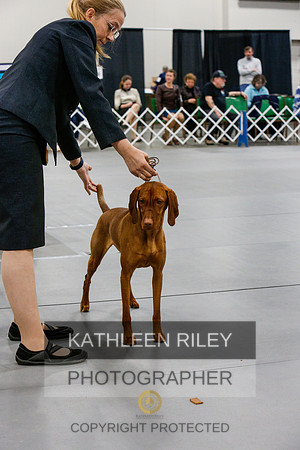 2022-KathleenRileyPhotography-6972