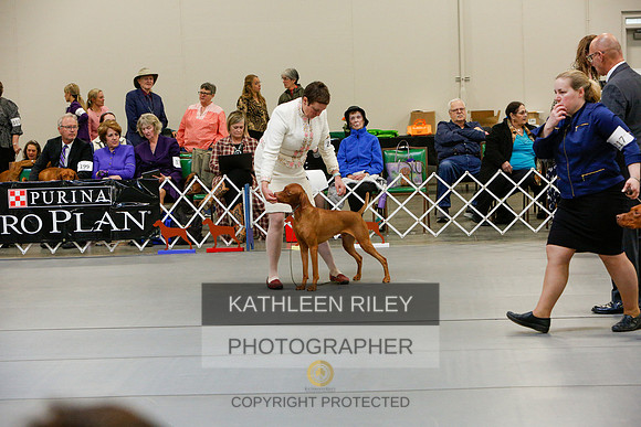2022-KathleenRileyPhotography-5906