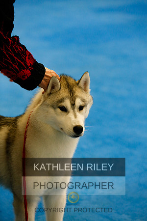 2022-KathleenRileyPhotography-7838