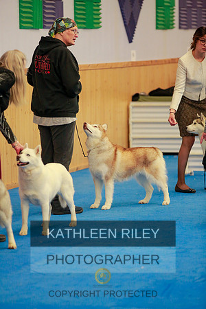2022-KathleenRileyPhotography-6380