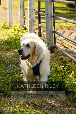 2022-KathleenRileyPhotography-0148