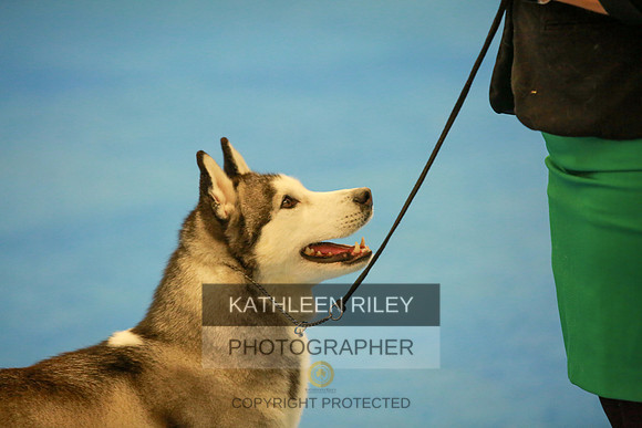 2022-KathleenRileyPhotography-6425