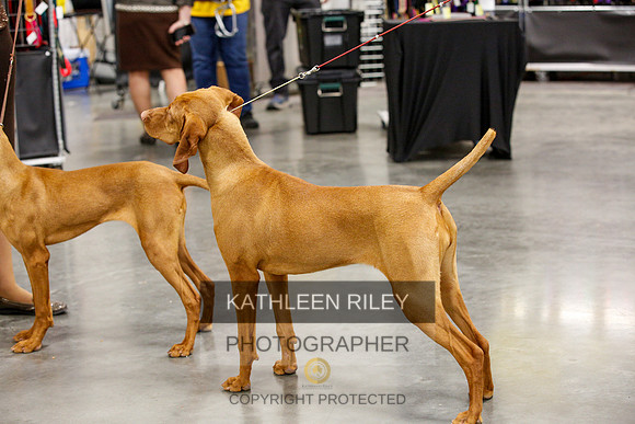 2022-KathleenRileyPhotography-1711