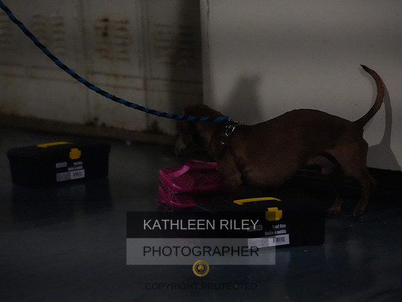 2022-KathleenRileyPhotography171