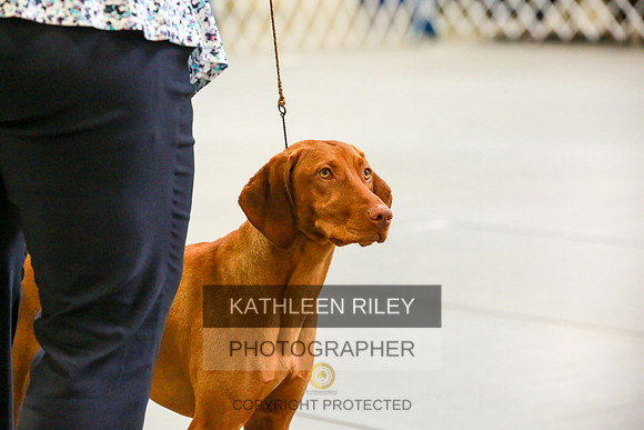 2022-KathleenRileyPhotography-8872