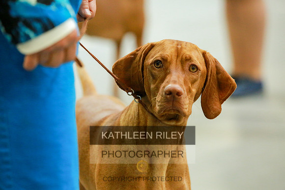 2022-KathleenRileyPhotography-8848