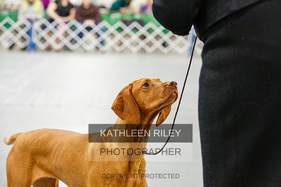 2022-KathleenRileyPhotography-0578