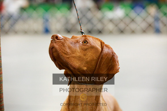 2022-KathleenRileyPhotography-8678