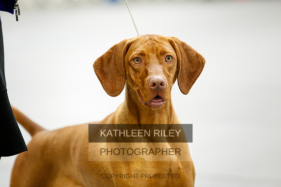 2022-KathleenRileyPhotography-9711