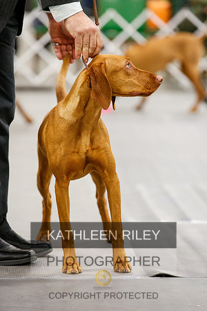 2022-KathleenRileyPhotography-1761
