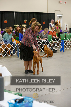 2022-KathleenRileyPhotography-3844