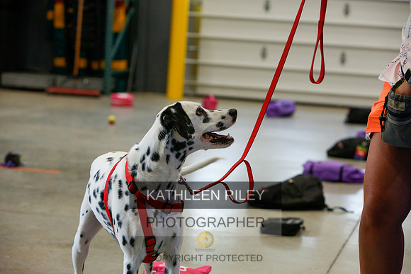 2022-KathleenRileyPhotography-4869