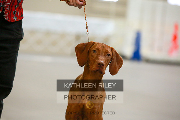 2022-KathleenRileyPhotography-8717