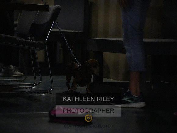 2022-KathleenRileyPhotography140